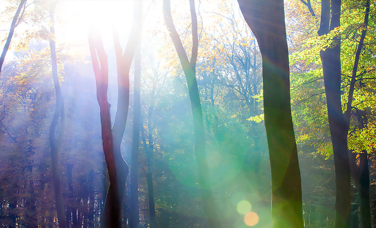 colors and psychology